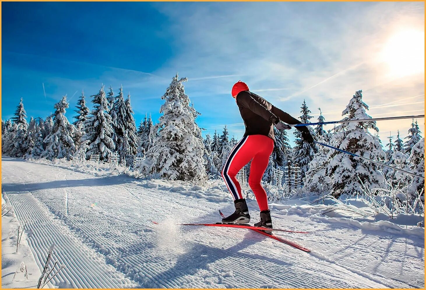 Зимний спорт. Лыжник. Беговые лыжи. Лыжник на беговых лыжах. Фото skiing