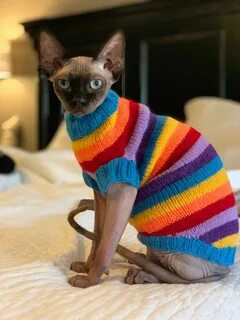 Как связать кофту коту