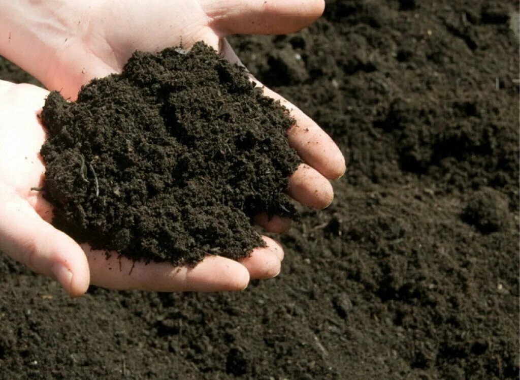 сделать черную землю. грунт плодородный куб. черноземные почвы. черная почва. гумус в черноземах.