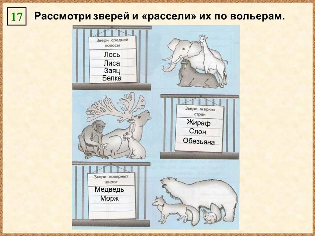 Расписание лось александров. Звери средней полосы Информатика 3 класс. Общие свойства лисы медведя слона лося. Общие свойства лиса медведь слон Лось. Общие свойства объектов лиса.