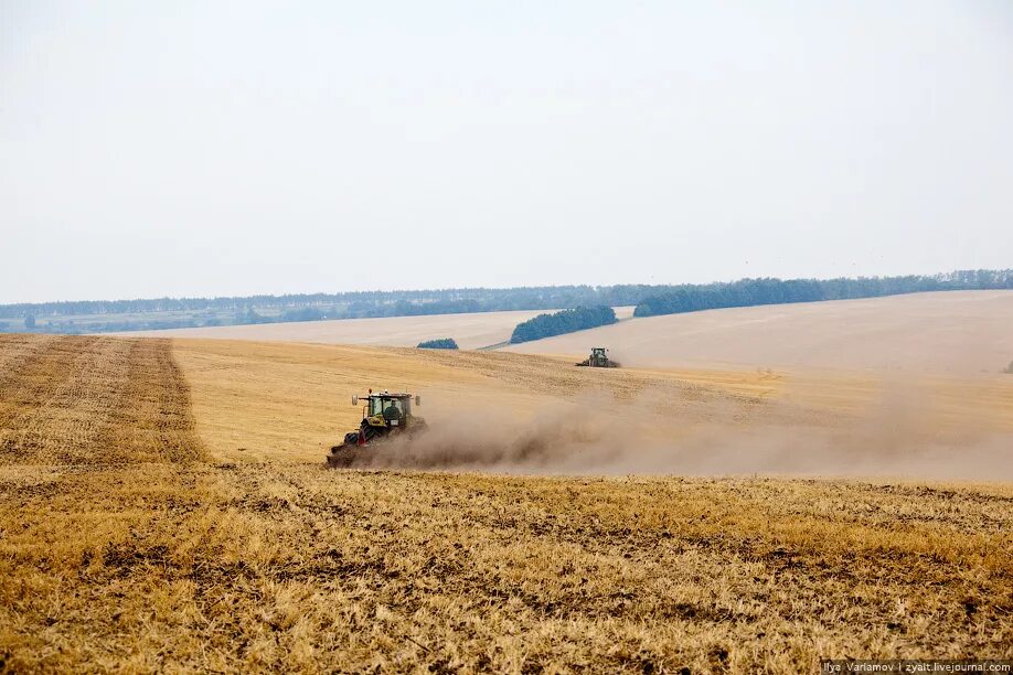 Field processing. Поля Белгородской области. Сельское хозяйство Белгородской области. Белгород сельское хозяйство поля. Сельскохозяйственные ландшафты Белгородской области.