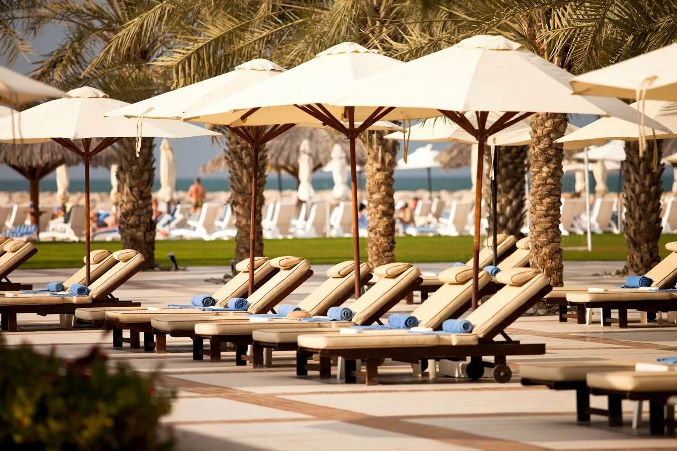 Hilton ras al Khaimah Resort Spa 5. Хилтон рас Аль Хайма Бич Резорт. Хилтон рас Эль Хайма Бич Резорт 5. Hilton ras al Khaimah Resort & Spa 5* рас-Эль-Хайм 4.5.