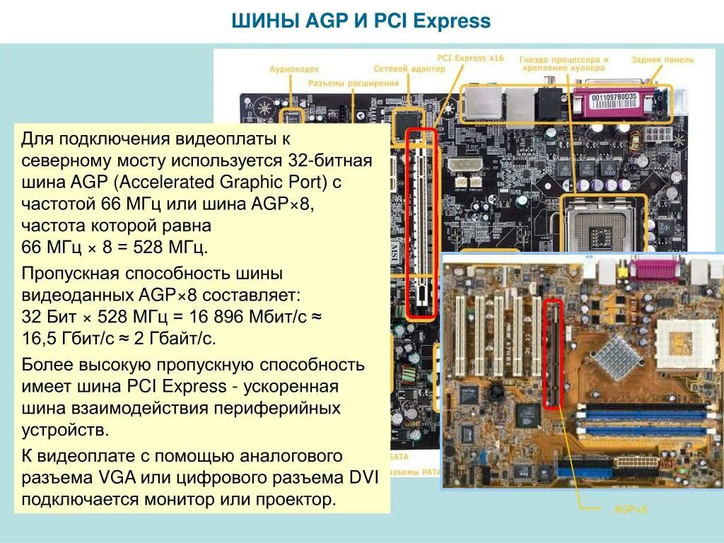 Частота шины pci. Структура шины pci. архитектура шины agp. шины agp и pci express. локальная шина pci.
