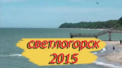 Сельма светлогорск калининград