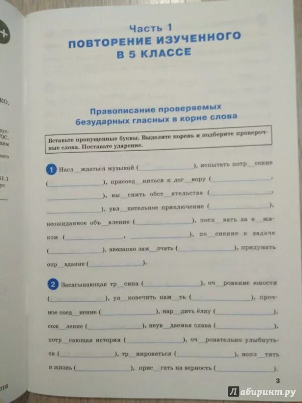 Тренажер александрова 5 класс. Тренажер по русскому языку орфография. Тренажёр по русскому языку пунктуация. Русский язык 5 класс тренажер орфография Александрова. Тренажёр по русскому языку 6 класс орфография.