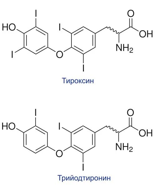 Тироксин т4. Тироксин и трийодтиронин. Тироксин строение. Тироксин формула.