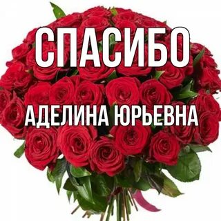 Аделине роз