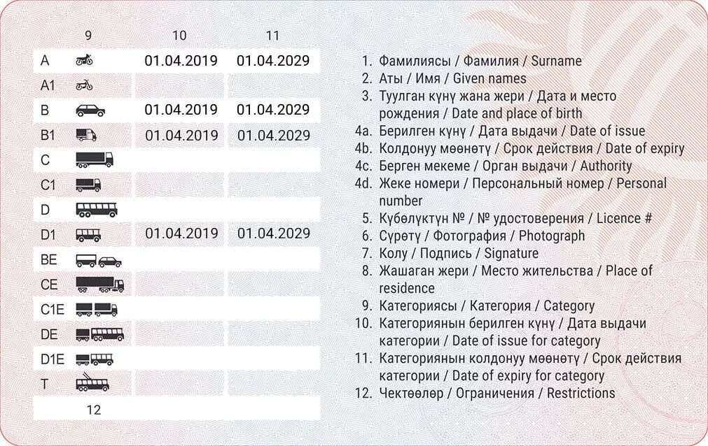 Категории прав водительских в Киргизии. Грсу личный