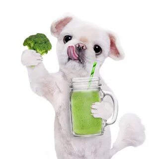 Dog vegetable