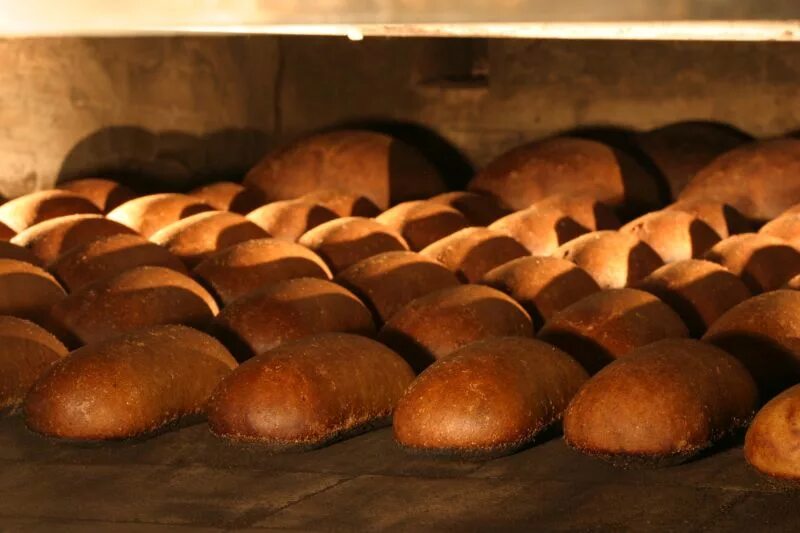 Печь хлеб в форме. Выпечка хлеба. Расстойка хлеба. Выпечка хлеба на хлебозаводе. Хлеб в печи.
