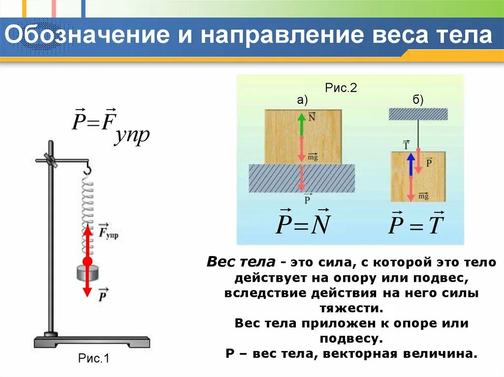 Веса тела точка приложения силы и направление силы. Силы на тело на пружине вес. Динамометр вес тела. Сила натяжения пружины динамометра. Если сила тяжести действующая на погруженное