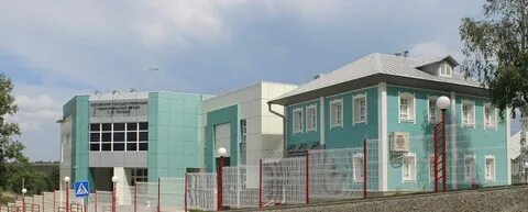 Барнаул косиха