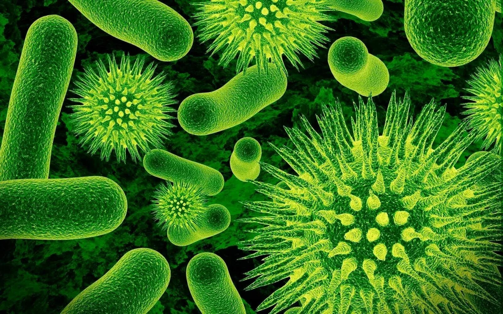 Бактериальная природа