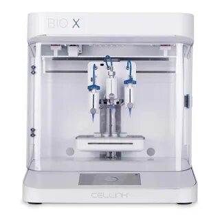 Bio 6