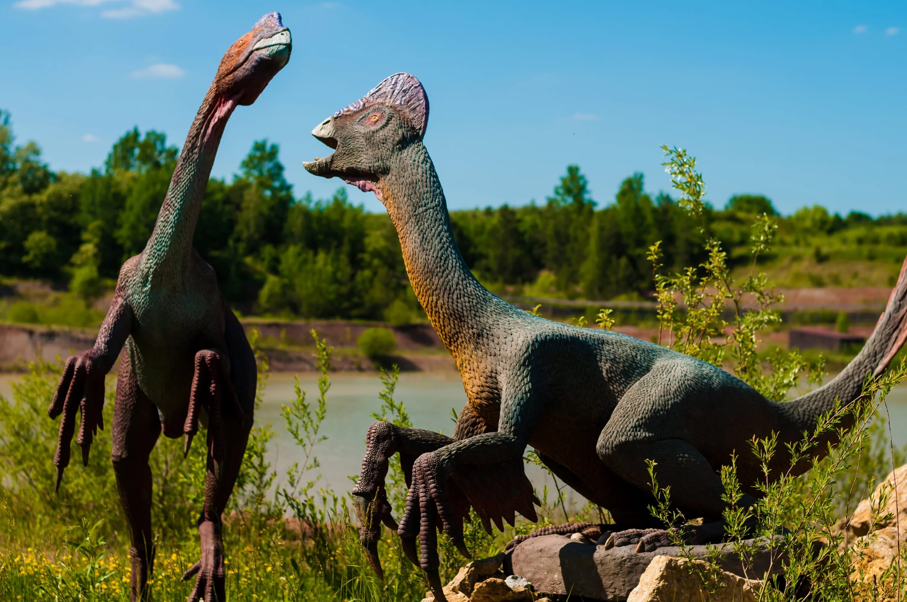 Диназавр. Динозавры. Красивые динозавры. Редкие динозавры. Динозавры картинки.