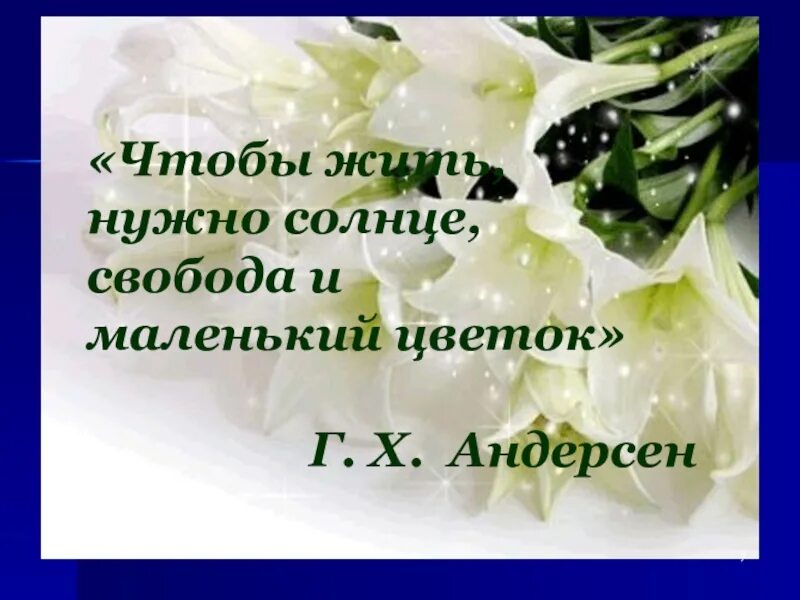 О самом главном о цветах. Цитаты о цветах. Цитаты про цветы. Красивые цитаты о цветах. Цветы это цитаты красивые.