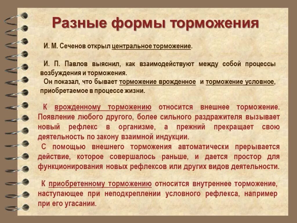 М. Открытие центрального торможения. Функции центрального торможения. Явление центрального торможения. Опыт сеченова торможение.