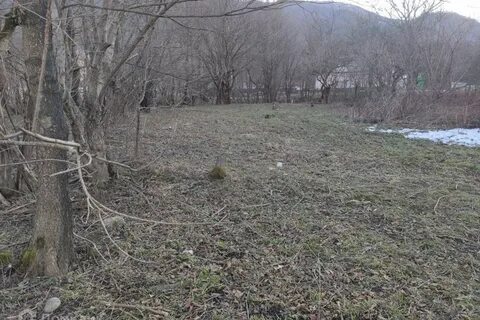 Редант 2