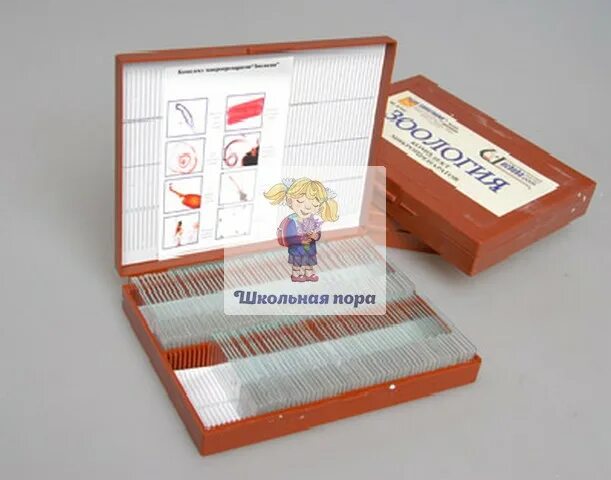 микропрепараты общая биология. микропрепараты для микроскопа. комплект микропрепаратов зоология. комплект микропрепаратов зоология 1. набор зоологических микропрепаратов.
