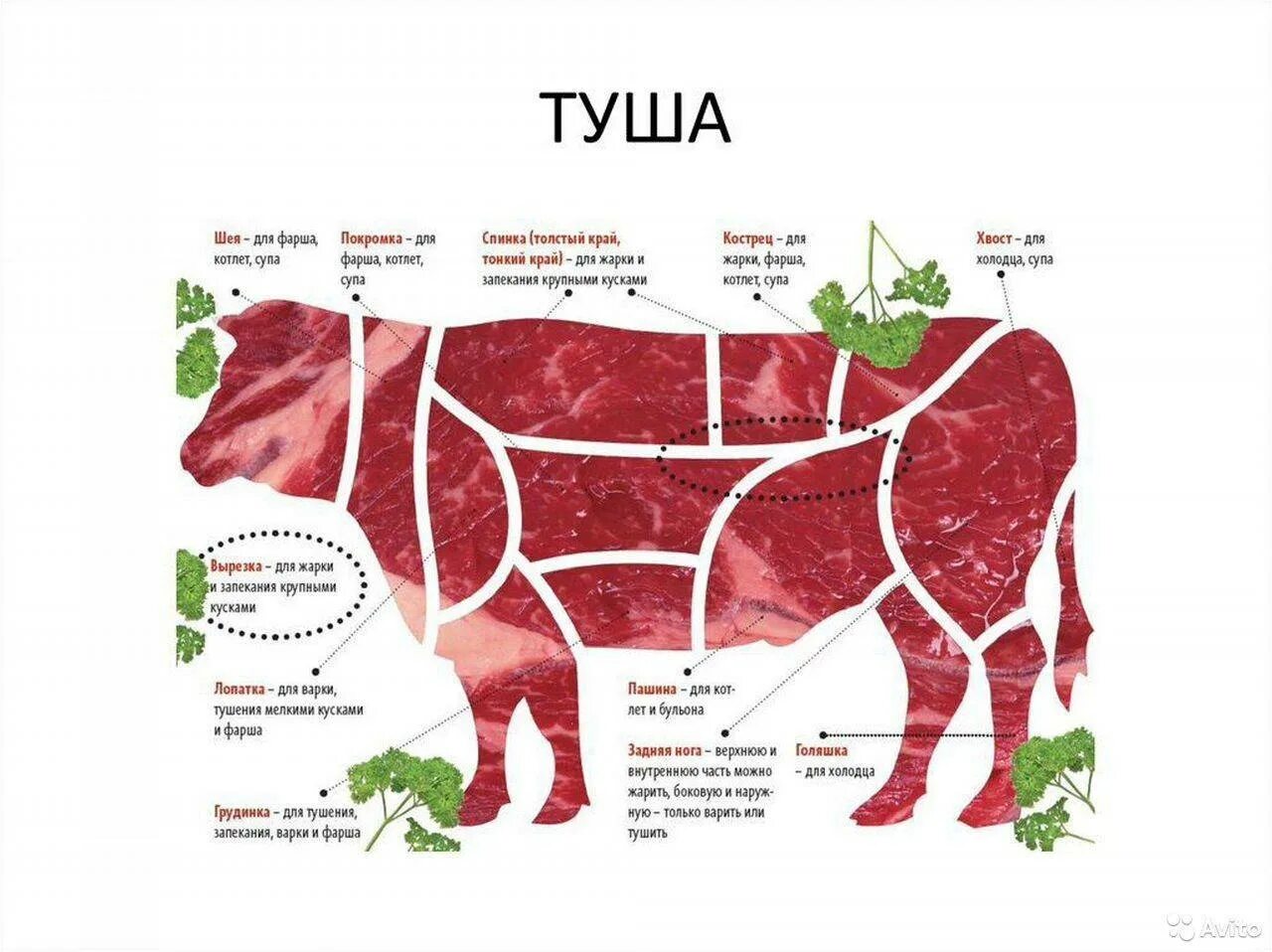Часть говядины для шашлыка. Классическая схема разруба говяжьей туши. Схема разделки говяжьей туши с названиями частей. Классификация схема разруба говяжьей туши. Карбонат часть туши говядины.