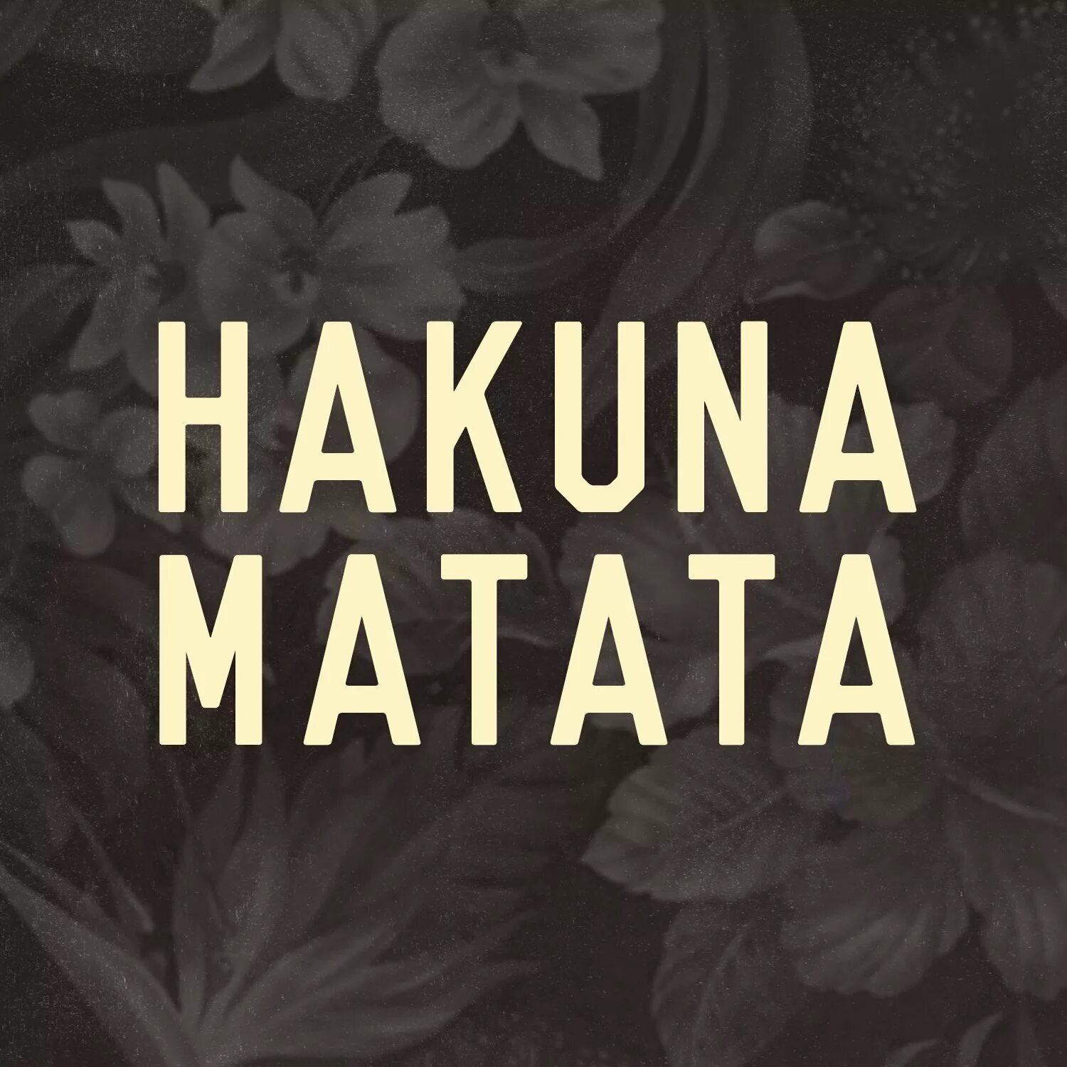 Акуна Матата. Hakuna Matata надпись. Хакуна Матата перевод. Акуна Матата обои на телефон. Акуна матата смысл фразы