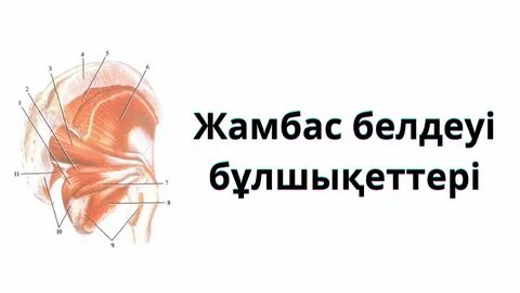 Әкесі мен қызы душта жыныстық қатынасқа түскен видео