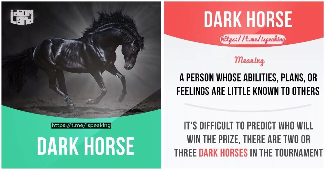 редис темная лошадка. темная лошадка отзывы. Dark horse idiom. свекла темная лошадка. свекла темная.