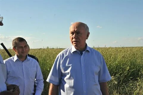 Глава кфх самарская область