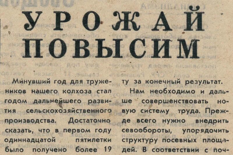 Статья в газете. Интересные статьи в газетах. Интересные заметки в газету. Заметка из газеты. 6 любых статей