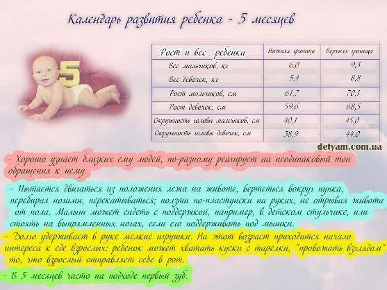5 Месяцев ребенку развитие. Умения ребенка в 5 мес. Что должен уметь ребёнок в 5 месяцев. Навыки в пять месяцев ребенка.
