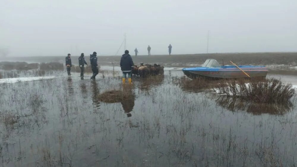 Подтопление уральска сегодня казахстан. Наводнение ЗКО. Казахстан паводки. Потоп в ЗКО. Уровень воды в Чагане.