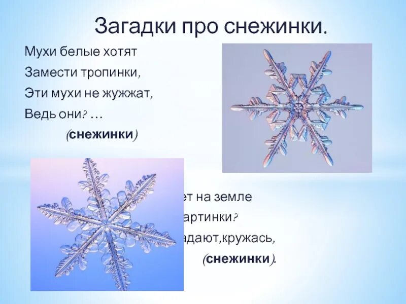 Звездочки снежинки текст. Загадка про снежинку. Загадка про снежинку для детей. Предложение про снежинки. Зимние загадки про снежинку.