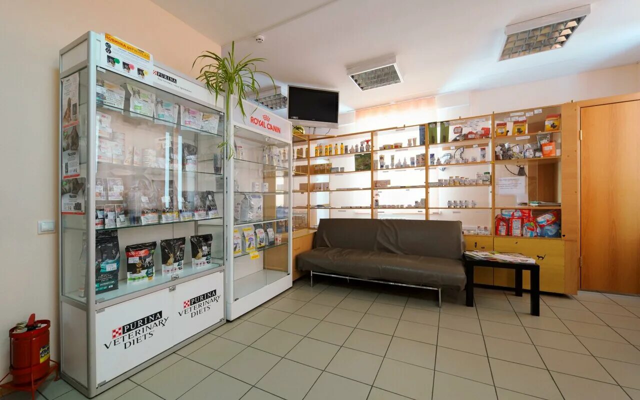 воронеж минская улица 5а ветлига. клиника ветлига воронеж. воронеж минская улица 5а ветлига. воронеж минская улица 5а ветлига. ветлечебница минская 5а.