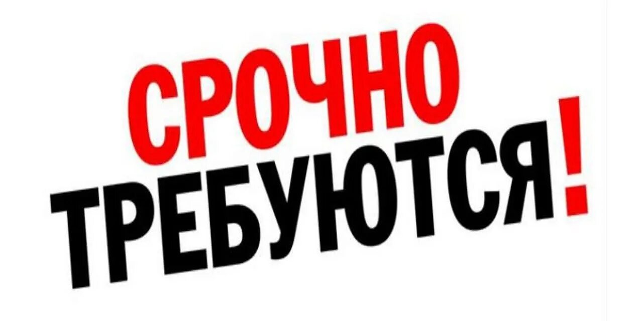 Срочно нужны сотрудники