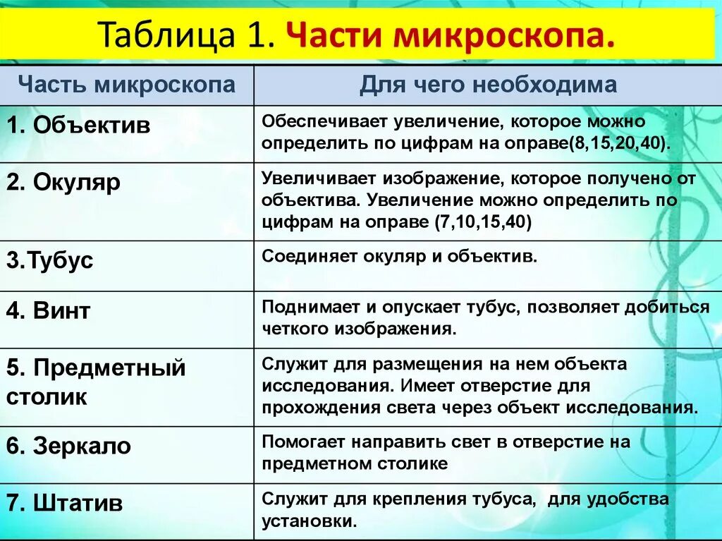 Какую функцию выполняет объектив 5 класс. Микроскоп 5 класс биология строение и функции. функции частей микроскопа 5 класс. строение микроскопа 5 класс биология таблица. микроскоп микроскоп строение 5 класс.