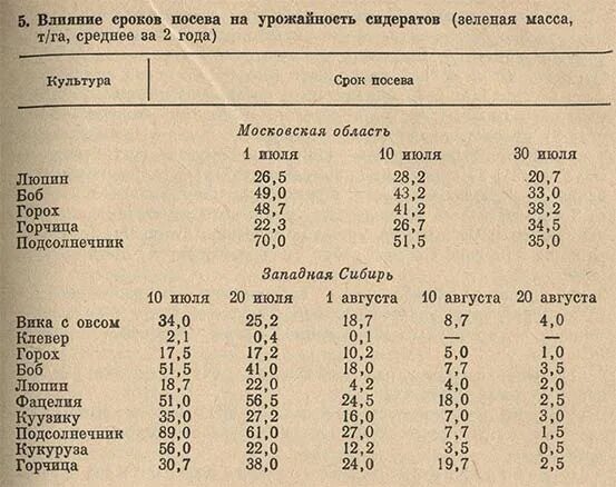 Сроки посева гороха