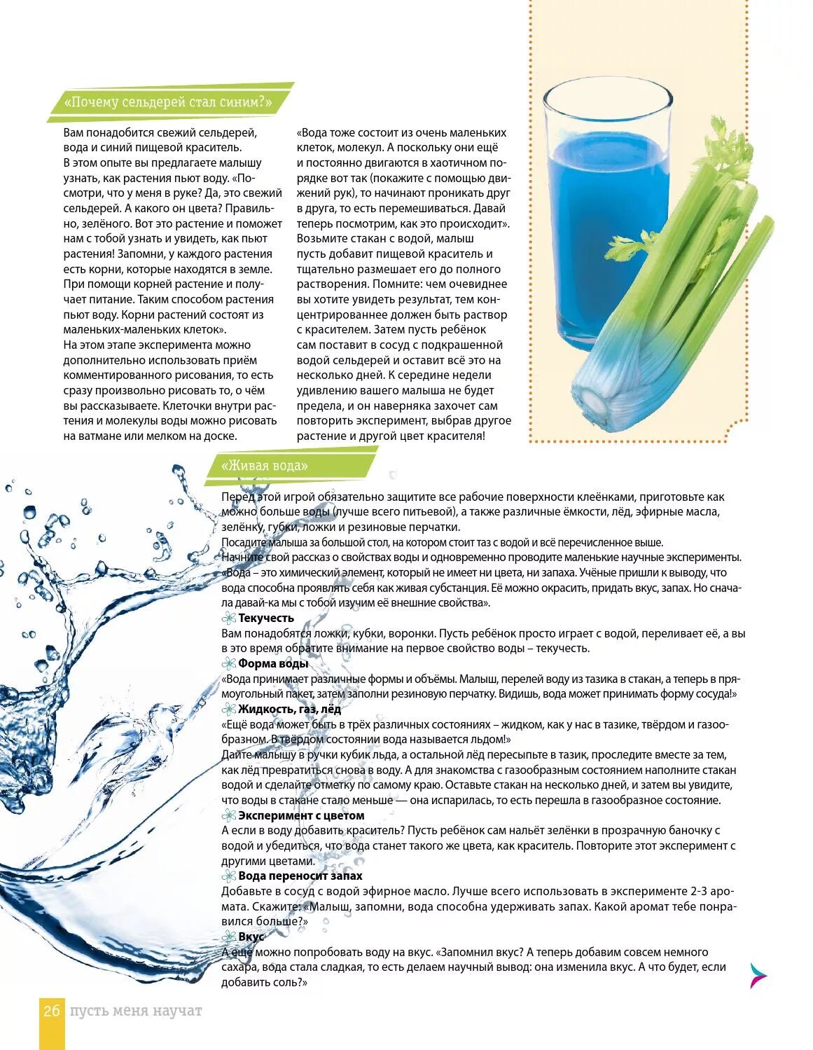 Книга "чай". Пить воду. Проект растения пьют воду. Пить воду в жару. Опыты с растениями для детей.