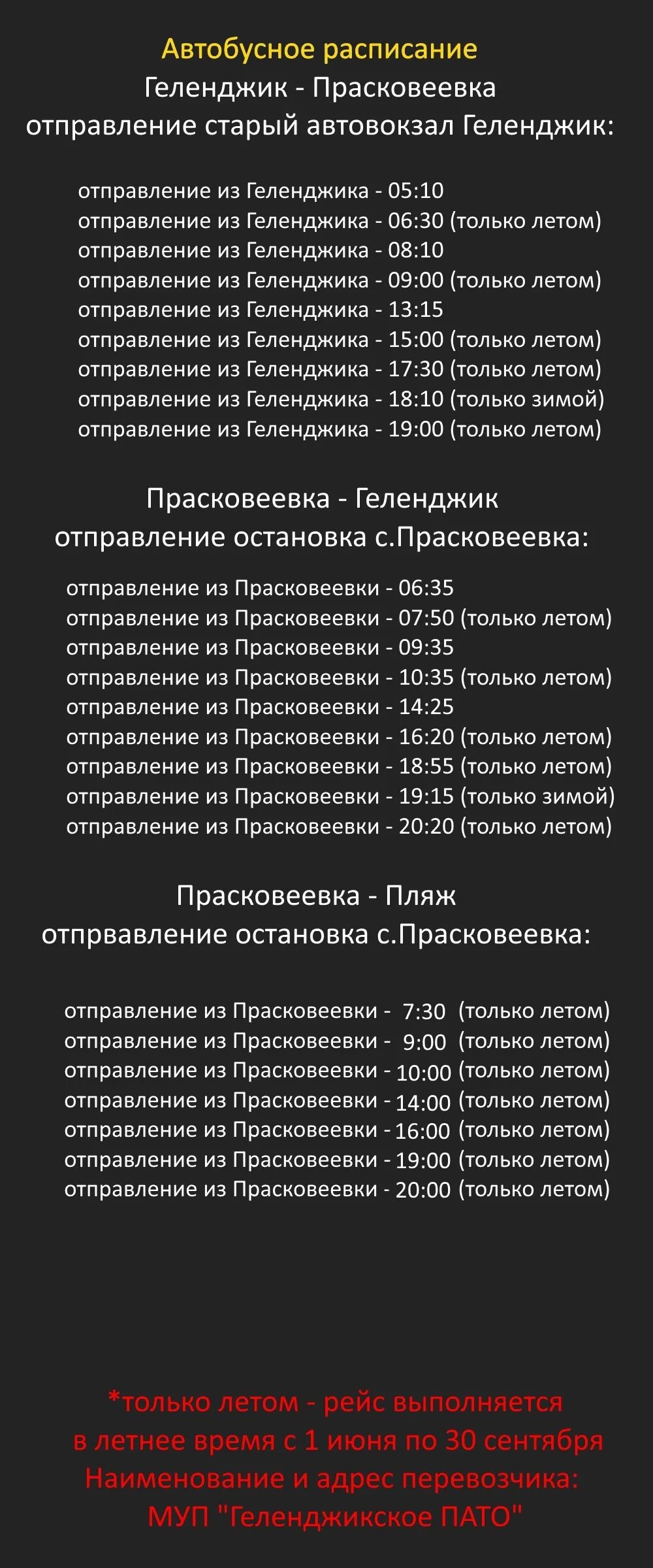 Расписание автобусов великий новгород санкт-петербург. Расписание автобусов с автовокзала старая русса. Маршрутное такси до старой руссы. Маршрутки спб старая русса. Расписание автобусов с автовокзала старая русса.