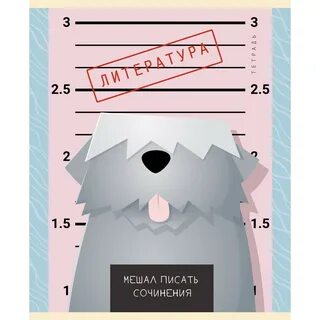 Май шоп тетрадь
