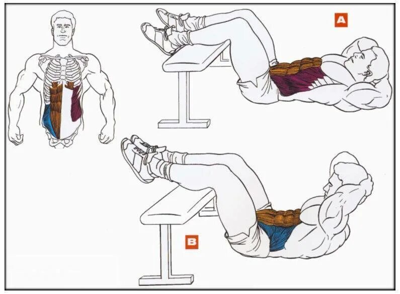 Как накачать нижние мышцы пресса. Скручивания на пресс. Прокачка Нижнего пресса. Упражнения для пресса.