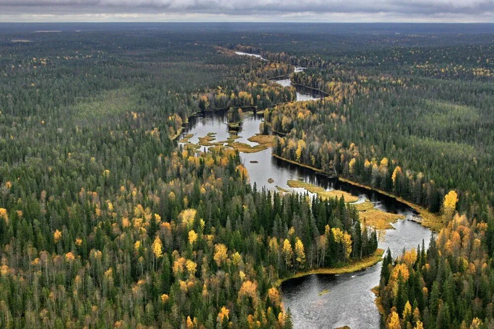 Водлозерский национальный парк Карелия. Водлозерский национальный парк Архангельской области. Озеро Водлозеро Водлозерский парк. Национальный парк Кенозерский Архангельск лес. Природные богатства карелии