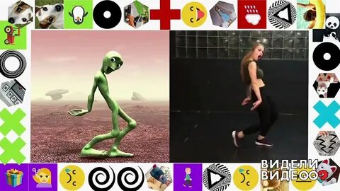 Они их видели видео