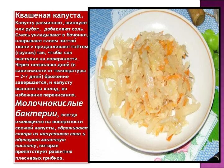 Можно есть квашеную капусту каждый день