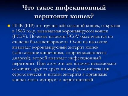Коронавирус у кошек лечение