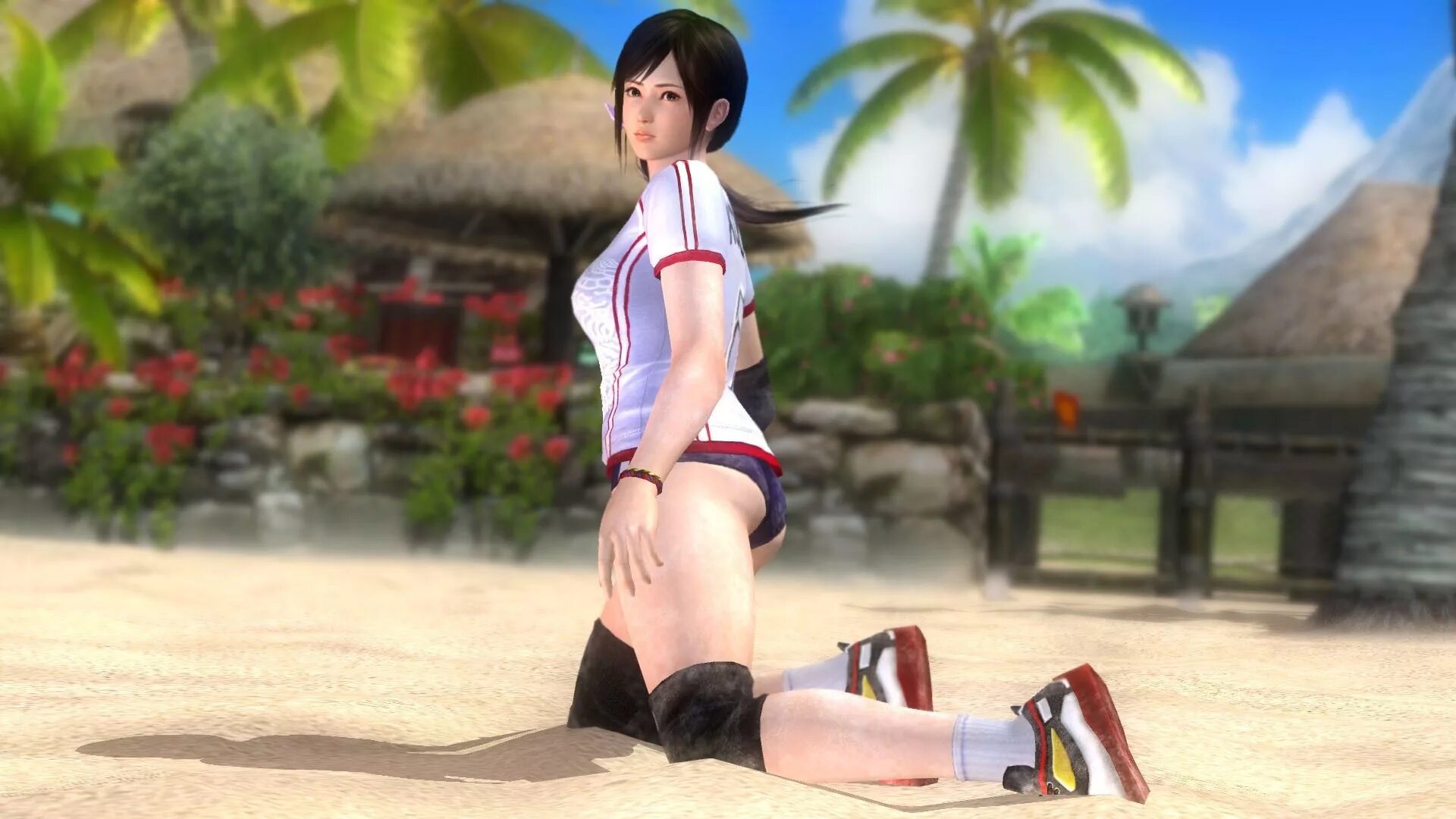 Деад Аливе 5. Dead or Alive 5 Кокоро. Dead or Alive 6 Кокоро. Dead or Alive 5 Kokoro.