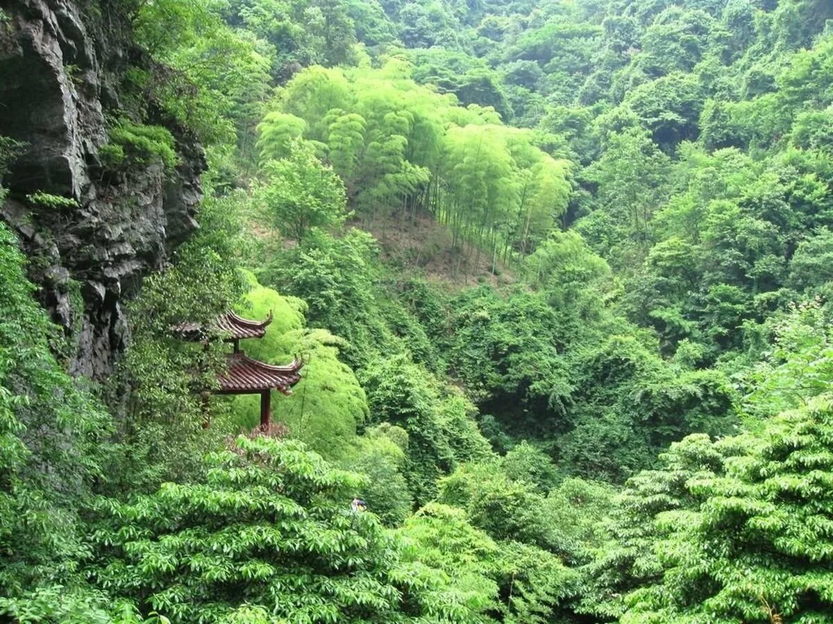 Долина Хэйчжу в Китае. Лощина черного бамбука Китай. Лощина Хэйчжу. Лощина черного бамбука Долина Хэйчжу Китай.
