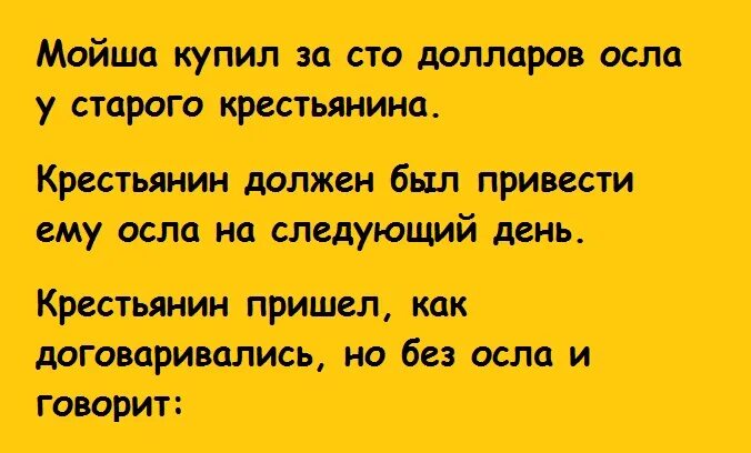 Шлемазл. Шлимазл по-еврейски. Шлемазл перевод. Шлемазл по-еврейски что. Шлемазл по еврейски