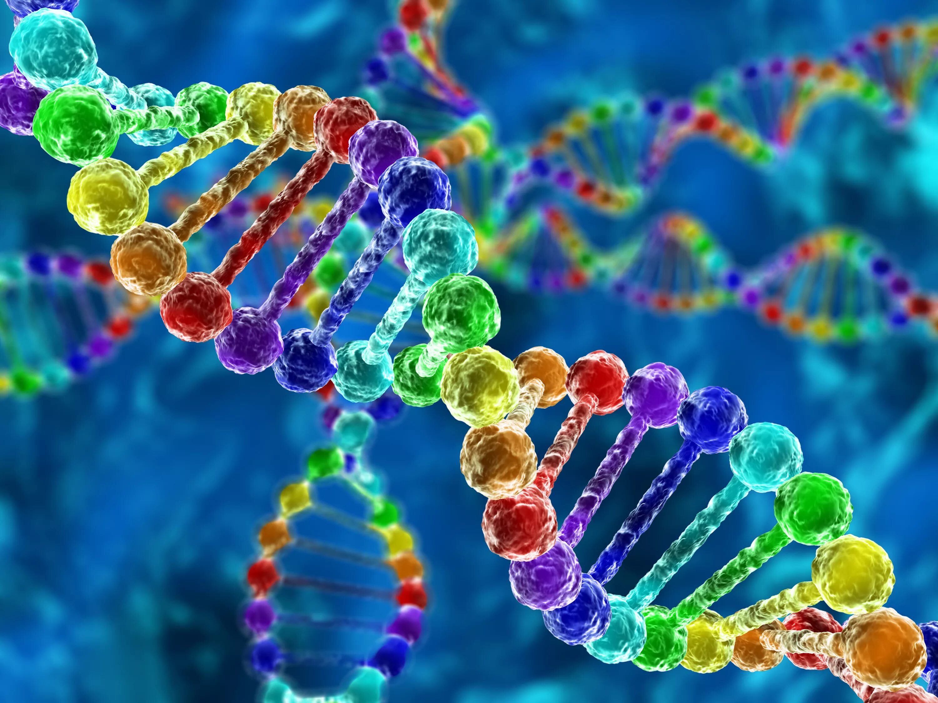 ДНК молекулярная биология. Гены ДНК. Генетика ДНК. Молекула ДНК.