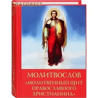 Книга молитвенный щит