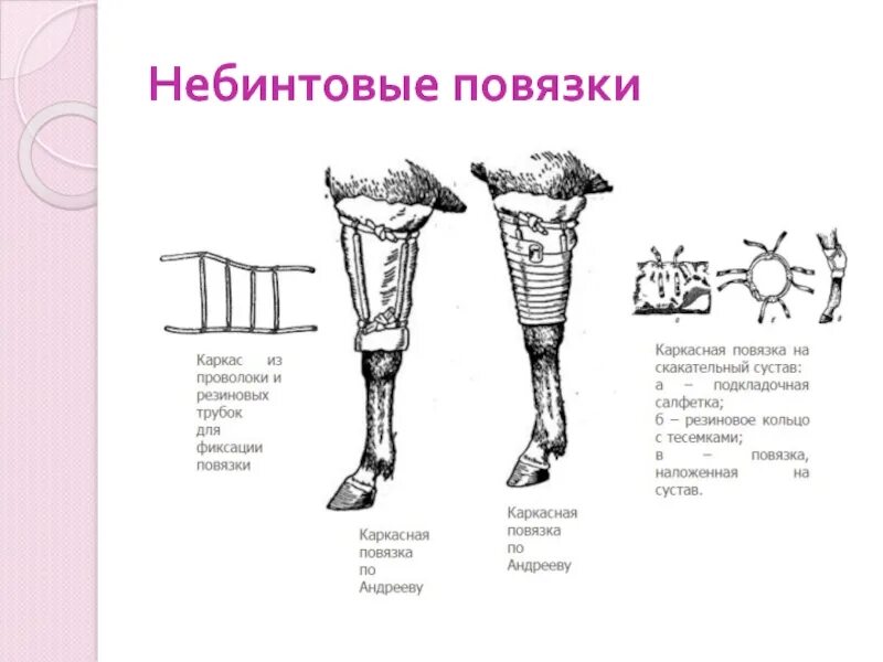 Техника наложения повязок животным. Гипсовая повязка десмургия. Виды повязок для животных. Десмургия Ветеринария. Циркулярная повязка КРС.